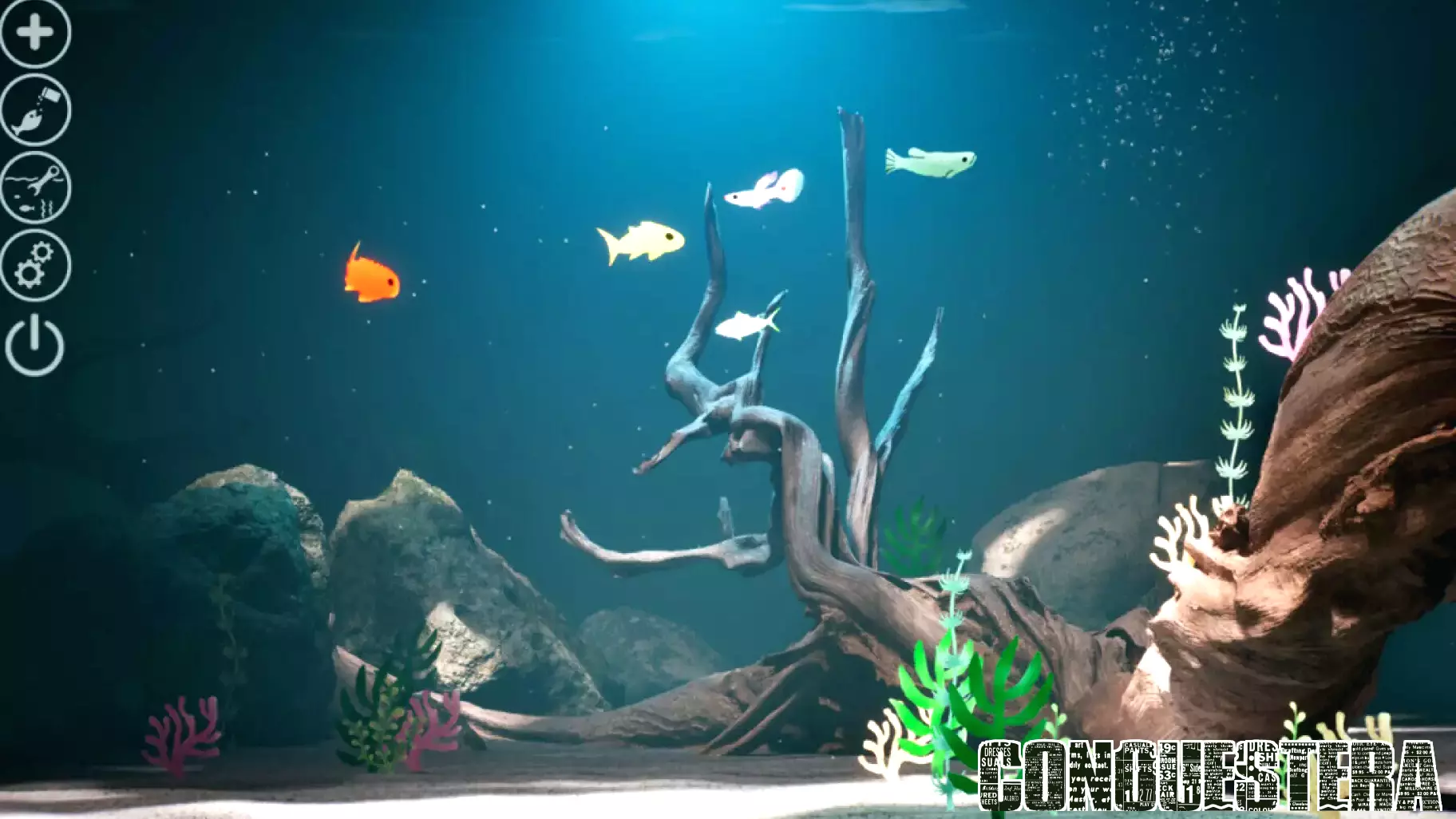 Dive into the Whimsical World of Drawquarium