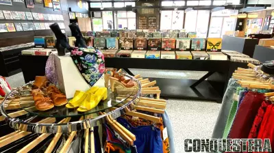 The Enduring Allure of Tangible Collections in a Digital Age